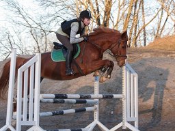 2011 Spring Marts